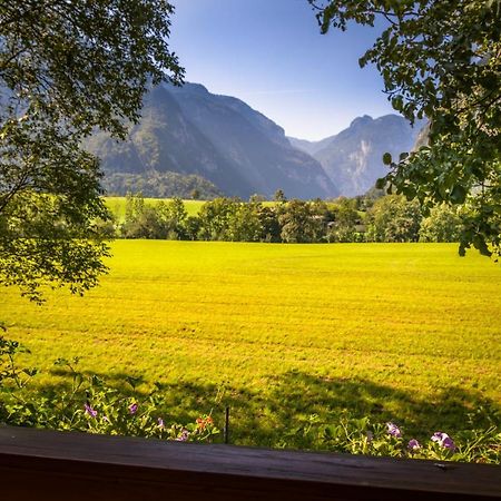 Starbauer Apartment Golling an der Salzach Luaran gambar