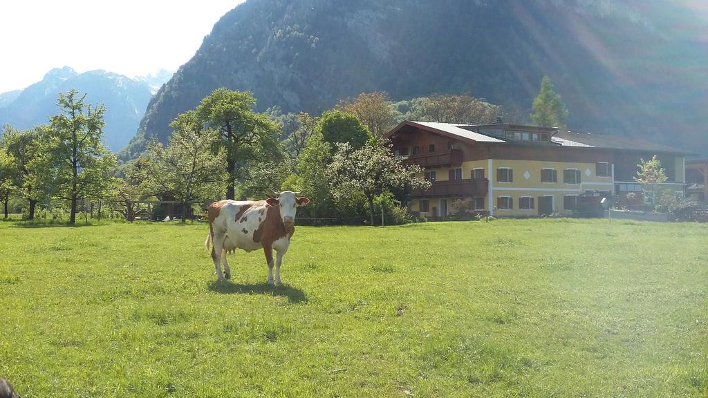 Starbauer Apartment Golling an der Salzach Luaran gambar
