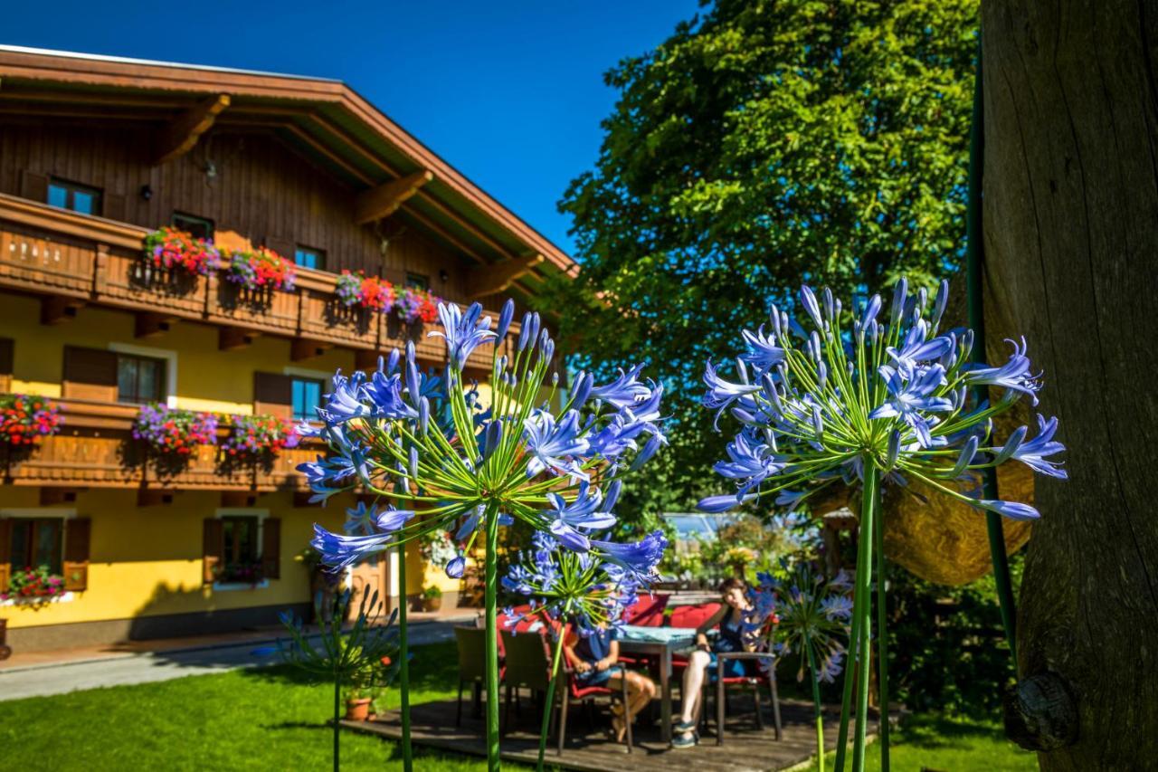 Starbauer Apartment Golling an der Salzach Luaran gambar